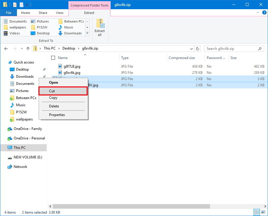File Explorer Extraction